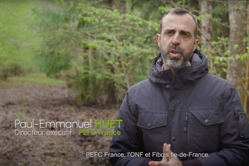 Paul-Emmanuel HUET, directeur exécutif de PEFC France est dans une forêt