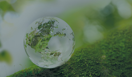 un globe terrestre en verre est posé sur de la mousse en forêt