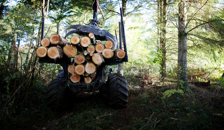 photo d'une pelle mécanique transportant des troncs d'arbres dans une forêt