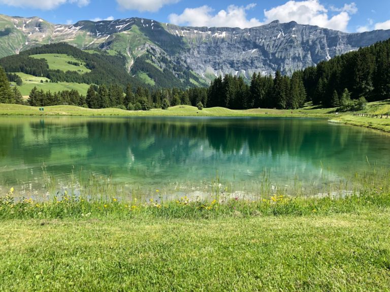 Lac de montagne bordé de forêts de conifères dans les Alpes