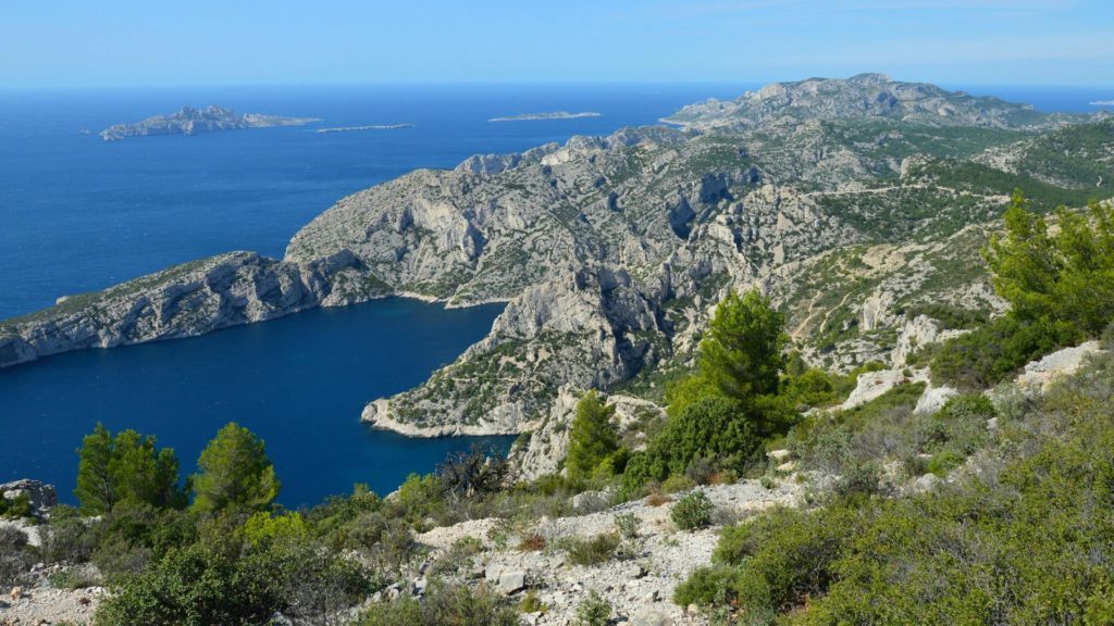 Calanques et pinède méditerranéenne au bord de la mer en Provence-Alpes-Côte d'Azur