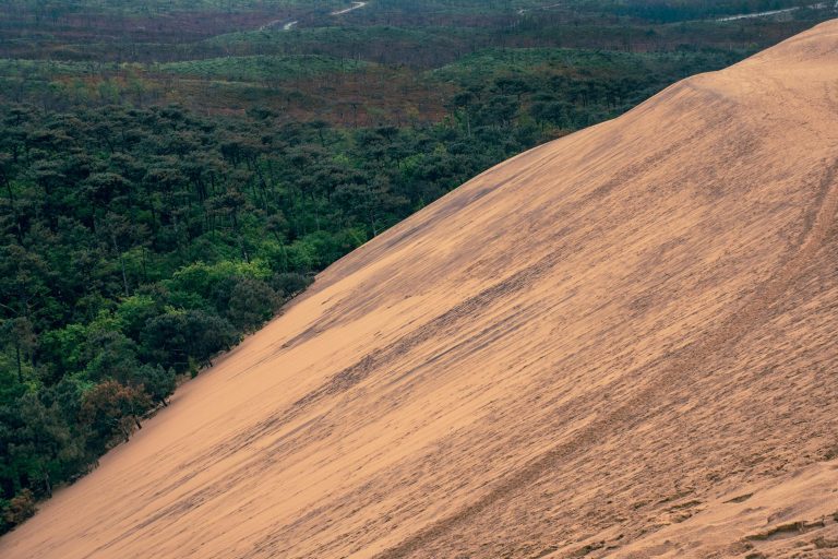 Dune du Pilat et forêt de pins des Landes en Nouvelle-Aquitaine