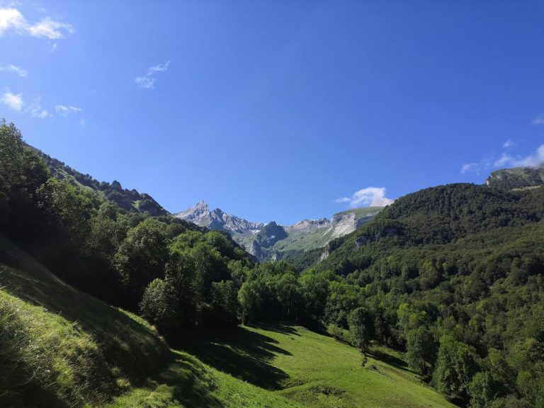 Vallée forestière au pied des Pyrénées en Occitanie